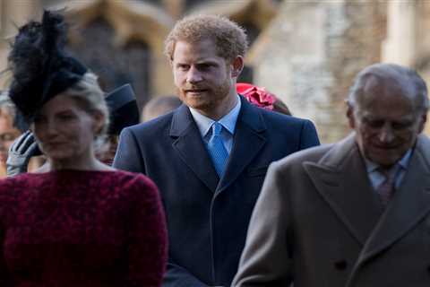 Sophie Wessex had ‘lengthy chat’ with Prince Harry after Philip’s funeral &amp; insists ‘we are..