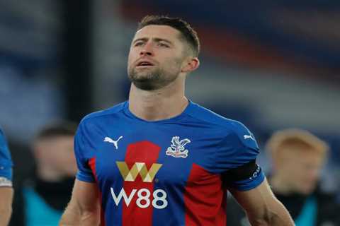 Crystal Palace release TWENTY-TWO players including Cahill, Clyne and Townsend with incoming..