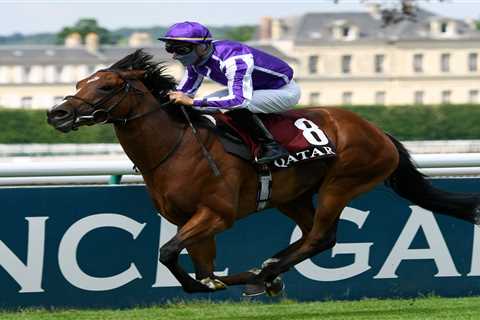 St Mark’s Basilica storms to victory for Aidan O’Brien in French Derby and now just 7-1 for the Arc