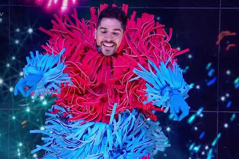 Inside Masked Dancer winner Louis Smith’s reveals his home renovation project