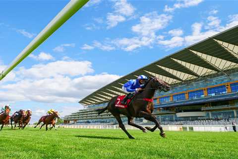 Royal Ascot prize money: How much is Britain’s most valuable race meeting worth?