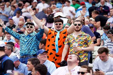 England fans pack into Edgbaston in fancy dress as 17,000 watch New Zealand Test in biggest cricket ..
