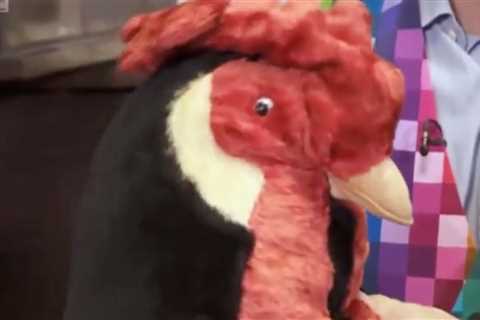 ‘Cocky’ Bargain Hunt expert mocked for scooping up ‘cheap’ tea cosy – but he has the last laugh