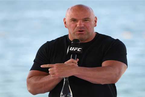 UFC chief Dana White mocks ‘stupid’ fans who paid for Mayweather fight with Paul and slams ‘that..