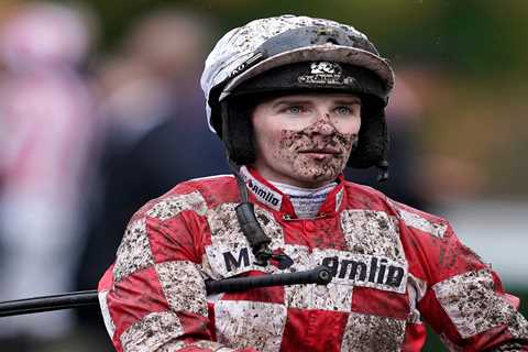 Jockey in disbelief as his BMW is stolen in ‘professional’ job while he competed in race