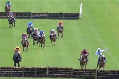 Watch as leading racehorse smashes through barrier and sends jockey flying in jaw-dropping..