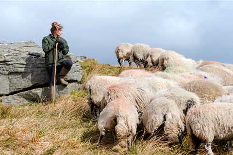 Our Yorkshire Farm’s neighbours break silence after sleepy Ravenseat is swamped by fans of Amanda..