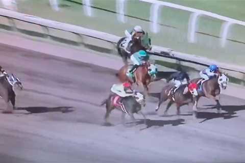 Punters stunned as jockey brutally faceplants dirt after falling off leading horse as rank 62-1..