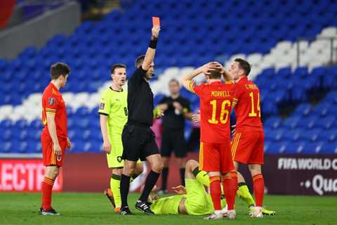 Who is Poland vs Slovakia referee Ovidiu Hategan? Qualified doctor who was once investigated by Uefa