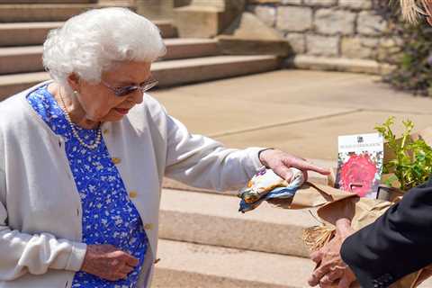 What is the Duke of Edinburgh rose?