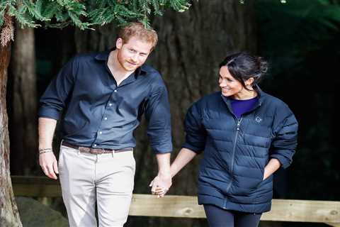 Meghan Markle is ‘back on her feet and walking dogs’ with baby Lilibet while Harry ‘picks..