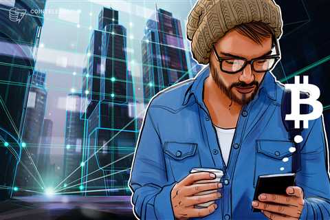 Bitcoin investors more bullish than ever despite 50% price crash: survey 