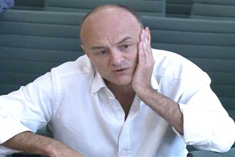 Dominic Cummings claims Boris Johnson will step down after the next election to ‘make money and..