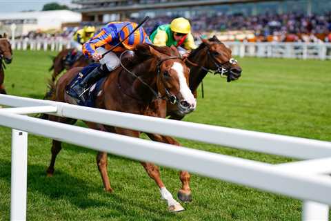 Royal Ascot 4.20 result: Who won Prince of Wales’s Stakes 2021? How every horse finished