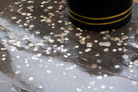 Boris Johnson to launch post-pandemic clean up of Britain with criminals scrubbing graffiti and..