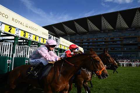 Royal Ascot rocked by GIGANTIC gamble as Kaboo is hammered into 9-1 from 66-1 for red-hot owner..