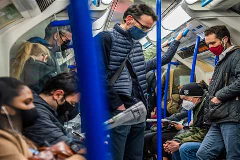 Millions could be given right to work from home FOREVER as flexible working to become new normal
