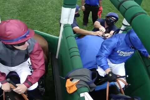 Watch dramatic Royal Ascot stalls incident that sparks jockey and punter fury over controversial..