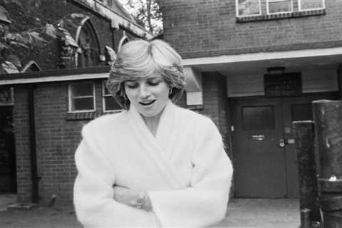 Was Princess Diana a nursery school teacher before becoming a full-time royal?