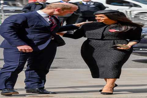 Meghan Markle ‘governed by fear’ and Prince William thought she had an ‘agenda’, explosive new book ..