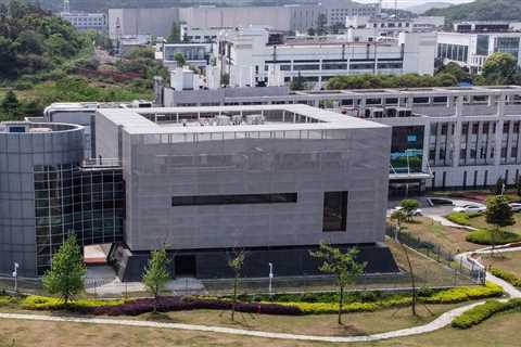 Globe risks bio WW3 if ‘Frankenvirus’ tests aren’t stopped, warn experts who say lab leak proof is..