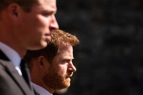 Prince Harry wants to have his ‘OWN journalist at Diana memorial event after bust up with William..