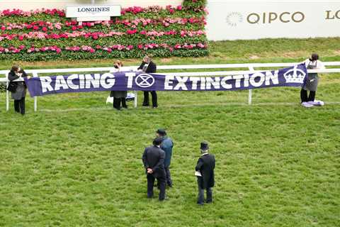 Royal Ascot protesters in custody after handcuffing themselves to winning post in front of Queen