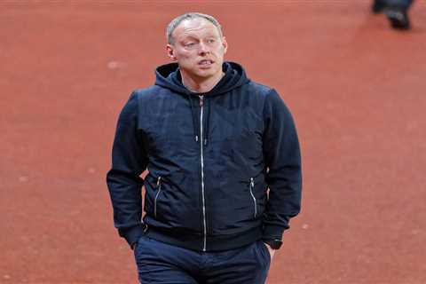 Fulham want Steve Cooper to replace Scott Parker for Prem promotion push