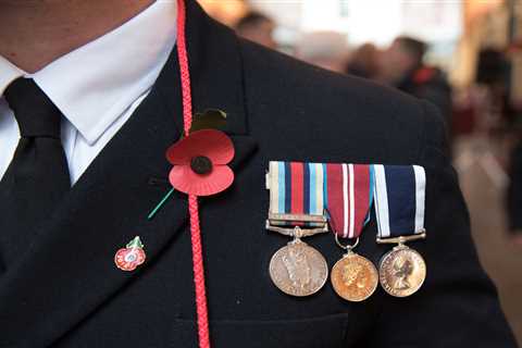 Poppy sales in the EU ‘scrapped over post-Brexit red tape costs’