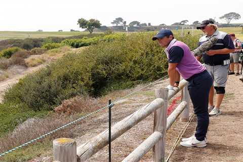Rory McIlroy accepts penalty point and avoids huge RATTLESNAKE that has US Open fans scurrying away ..