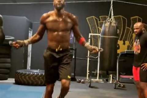 Watch topless Deontay Wilder work out in gym as he shows off incredible body ahead of Tyson Fury..