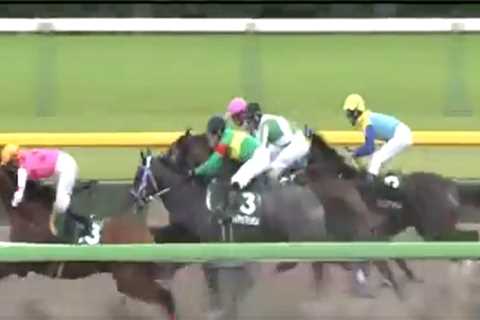Racing tragedy as Saudi Derby winner dies from mid-race heart failure and jockey riding him is..
