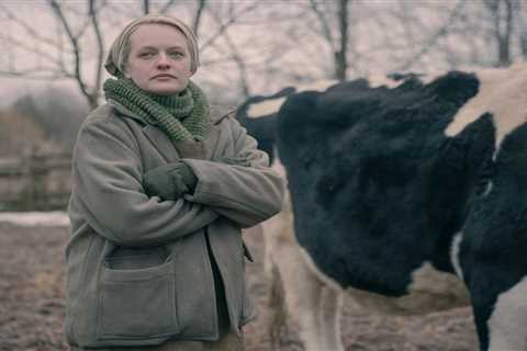 Why is Offred now Ofjoseph in The Handmaid’s Tale?