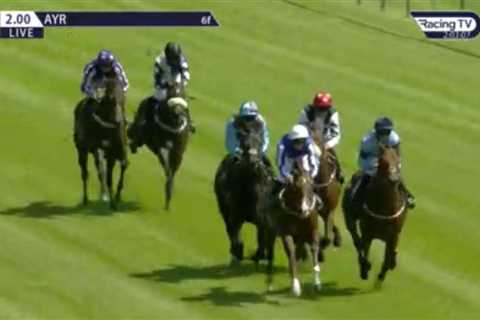 Tragedy in ‘extraordinary’ race as horse suffers fatal fall after two favs are withdrawn and 25-1..