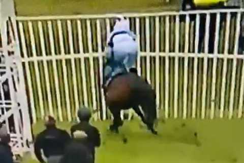 Terrifying moment female jockey is launched through barricade by uncontrollable horse that bolts to ..