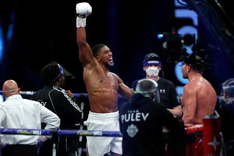 Anthony Joshua praised by Deontay Wilder’s coach for taking ‘dangerous’ Usyk fight after Tyson Fury ..