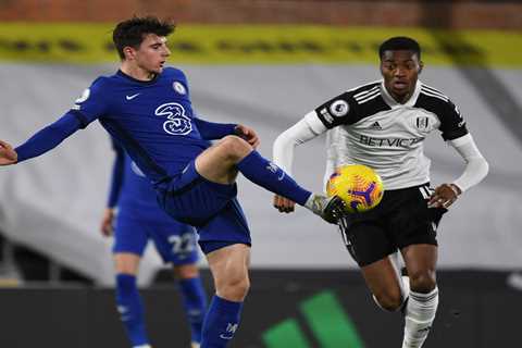 Norwich join Arsenal and Newcastle in transfer race for Fulham defender Tosin Adarabioyo