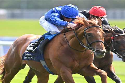 Irish Derby CONFIRMED runners and Templegate tip for Saturday race at the Curragh