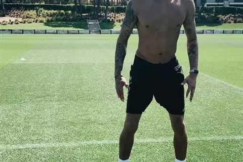 Tottenham star Dele Alli shows off impressive physique as he starts training for new Premier League ..