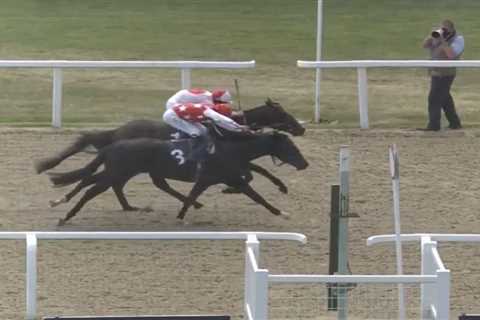 Watch dramatic dead heat in Newcastle thriller as stumped judges cannot split the two winners