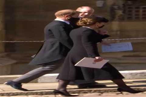The REAL story behind the photos of Harry &amp; William at Philip’s funeral as expert claims it was ..