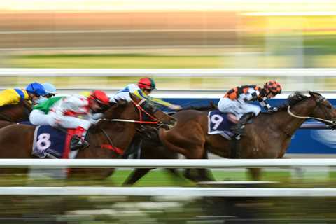 Trainer banned for a year and fined after cracking pal’s nose with headbutt and pushing two others..