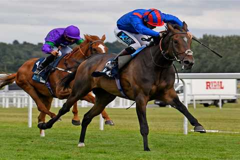Good humoured punters back racehorse Dubious Affair at Newcastle – the day after Matt Hancock..