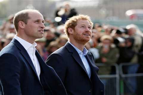 Princes William &amp; Harry scrap speech plans for Princess Diana statue &amp; could make separate..