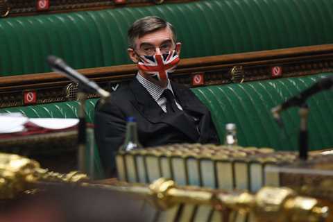 Matt Hancock SHOULD have declared relationship with lover Gina Coladangelo, blasts Jacob Rees-Mogg