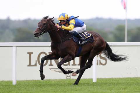 Furious trainer David Menuisier hits out at ‘stupid’ Coral-Eclipse line-up with just seven left to..