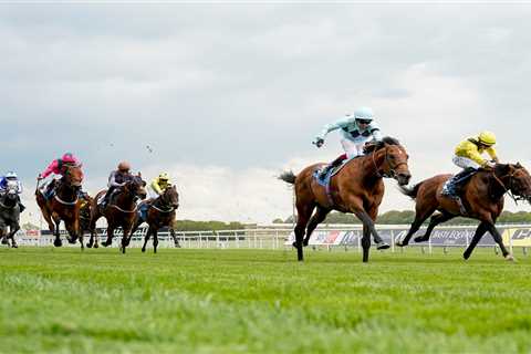 Top sprinter Starman ‘in good nick’ and set to return to action in the July Cup at Newmarket