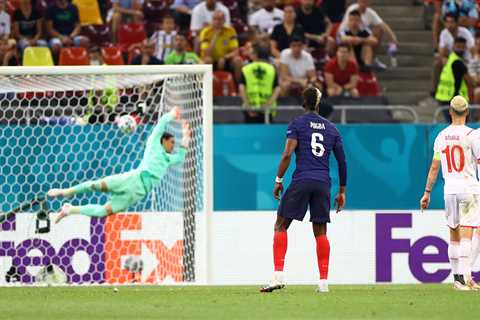 Watch Paul Pogba’s score an absolute screamer for France before Man Utd superstar shows off his..