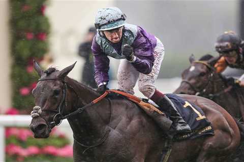 Alcohol Free to add fizz to red-hot Falmouth Stakes at July Festival with Sussex Stakes on Andrew..