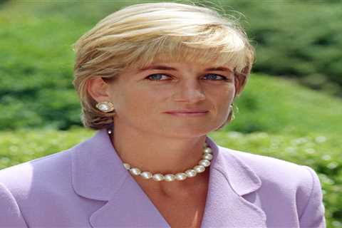 Prince William ‘unlikely to admit any wrongdoing’ to Prince Harry at Diana statue unveiling